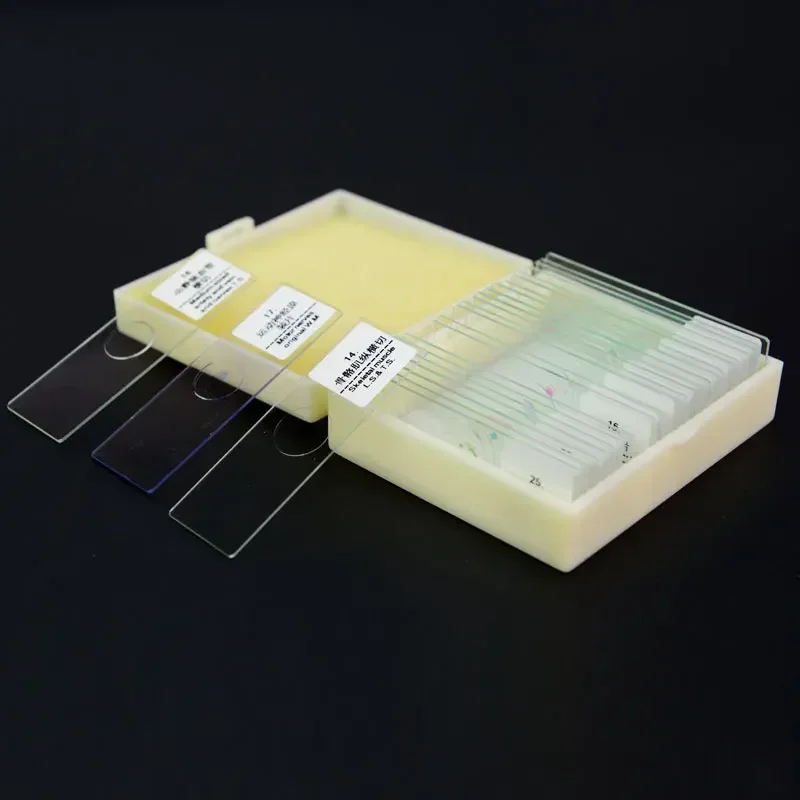 25PCS Insects Mosquito Prepared Microscope Glass Slides Set F Lab Biology Study Biological Microscopio Accesorio Telescopio - Image 4