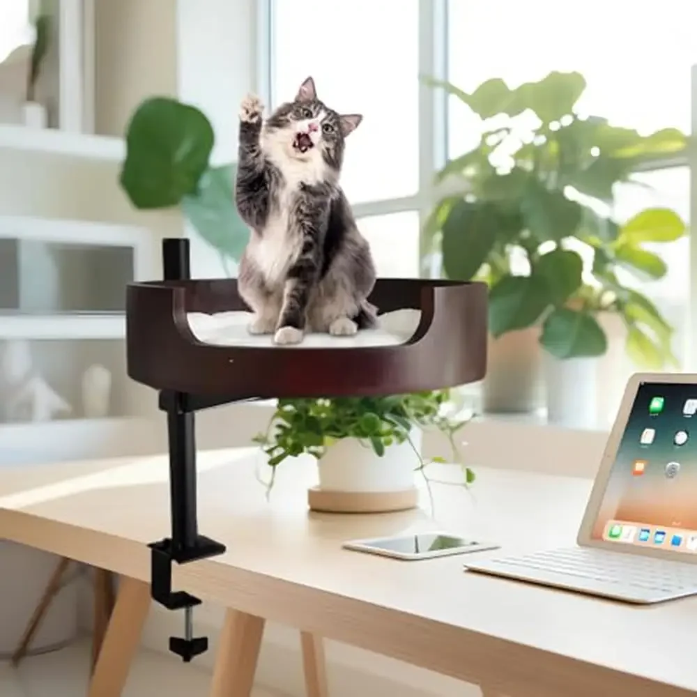 

Adjustable Wooden Cat Bed Desk Home Office Study Rooms Desktop Pet Furniture Attachment with Mat Ball Mouse Dark Walnut Wood