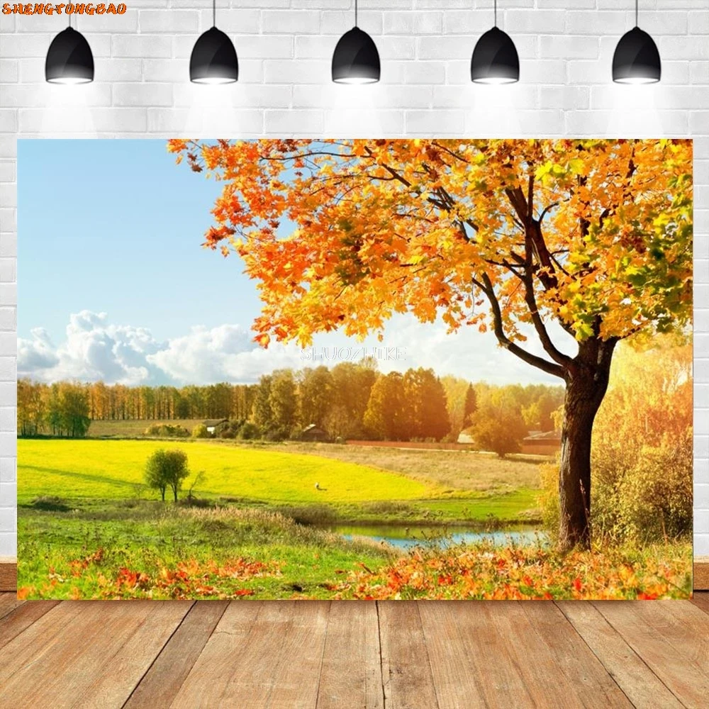 Tła do zdjęć opadłe liście Park Way narożnik drzewo dziecko naturalna jesień malownicze tła fotograficzne do studia fotograficznego