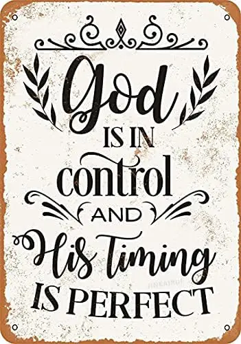 Retro Metal tin Sign Funny God is in Control and His Timing is Perfect Bar Restaurant Cafeation Sign For Home Cave Garage bar Wa