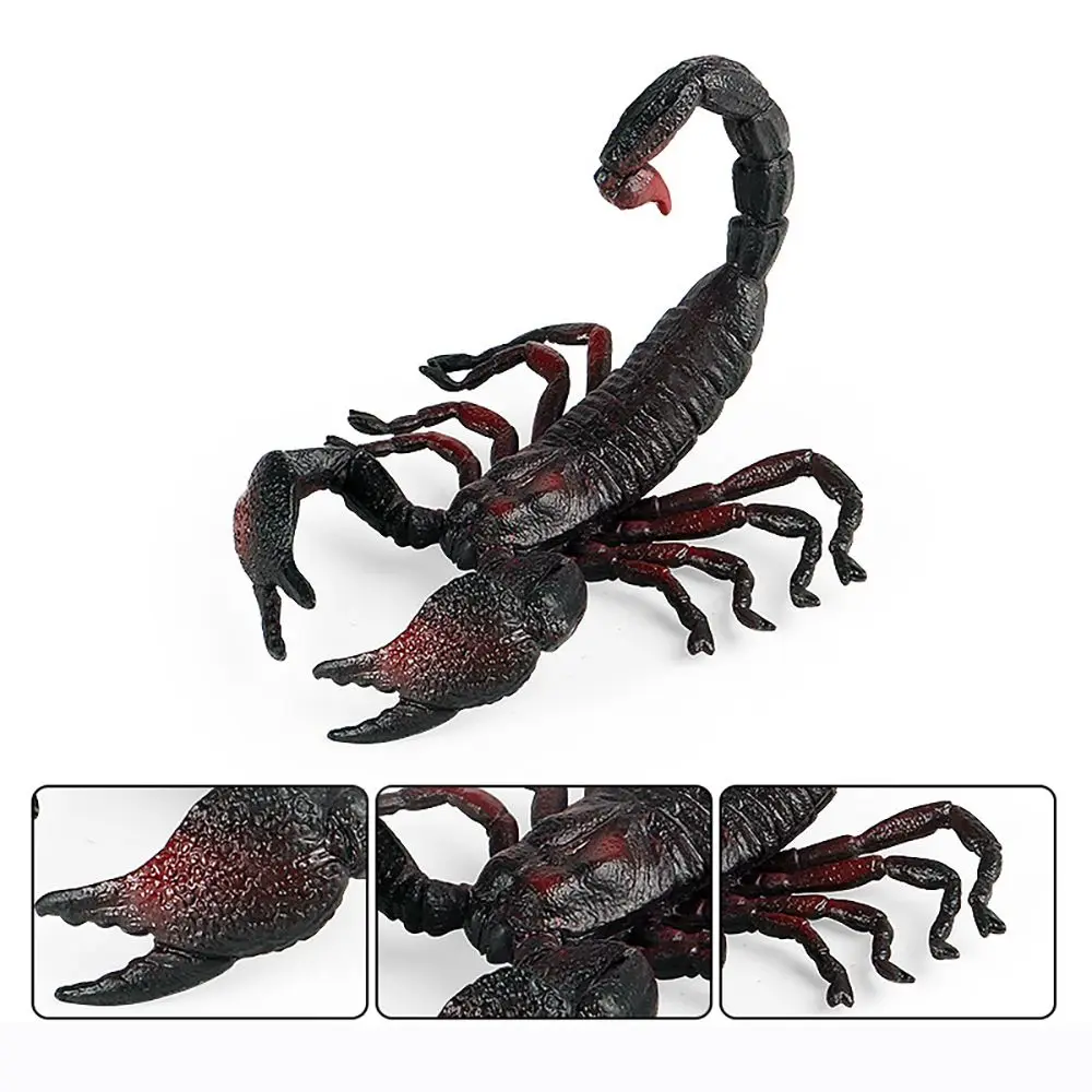 ของขวัญการศึกษาของเล่น Prank Props วิทยาศาสตร์ธรรมชาติรุ่น Scorpion ฮาโลวีนแมลง Figurine เด็กความรู้ความเข้าใจ