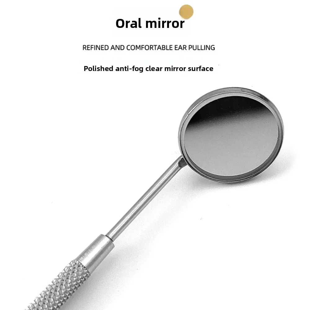 Dental Tool Kit for Home Use, Stainless Steel Scaler & Probe Set, Plaque Remover & Tartar Scraper for Oral Hygiene Cleaning