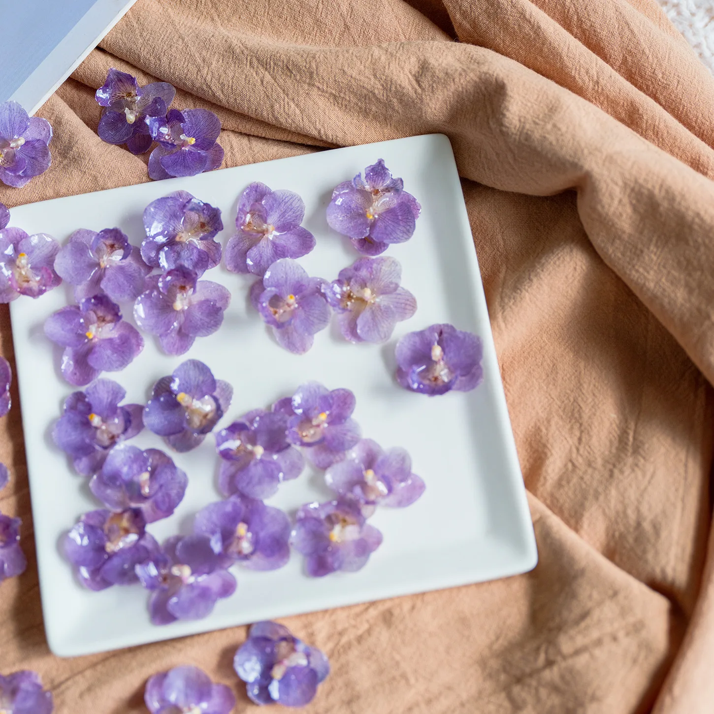 4 قطع الأرجواني فراشة السحلية زهرة حقيقية بالتنقيط هلام المجففة زهرة DIY أقراط الزفاف إكليل سوار المواد حفل زفاف ديكور