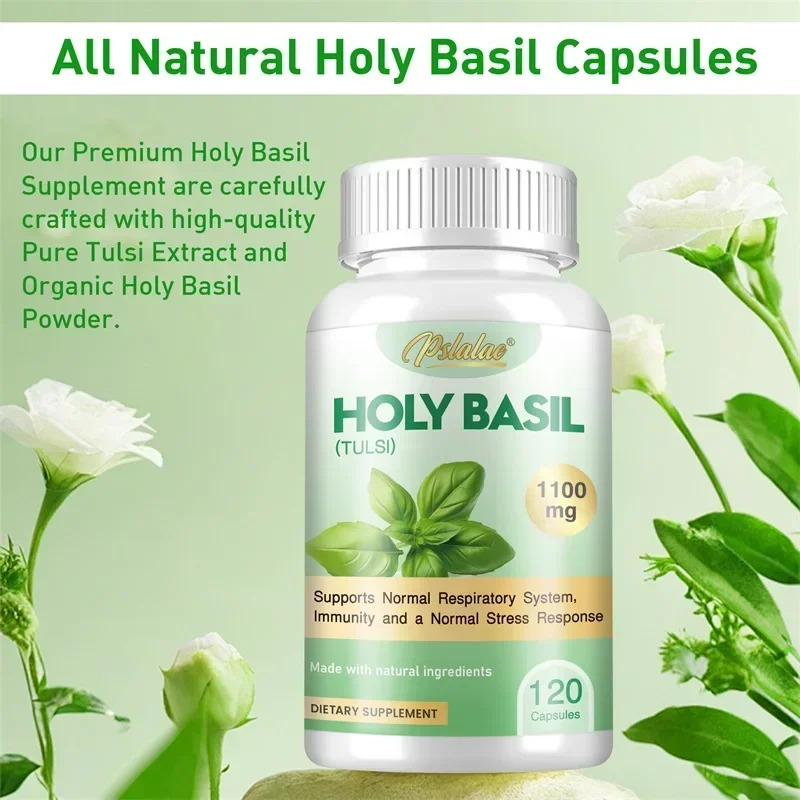 Holy Basil - Stress Support Emotional Well-Being, Antioxidant, Immune Support, Non-GMO