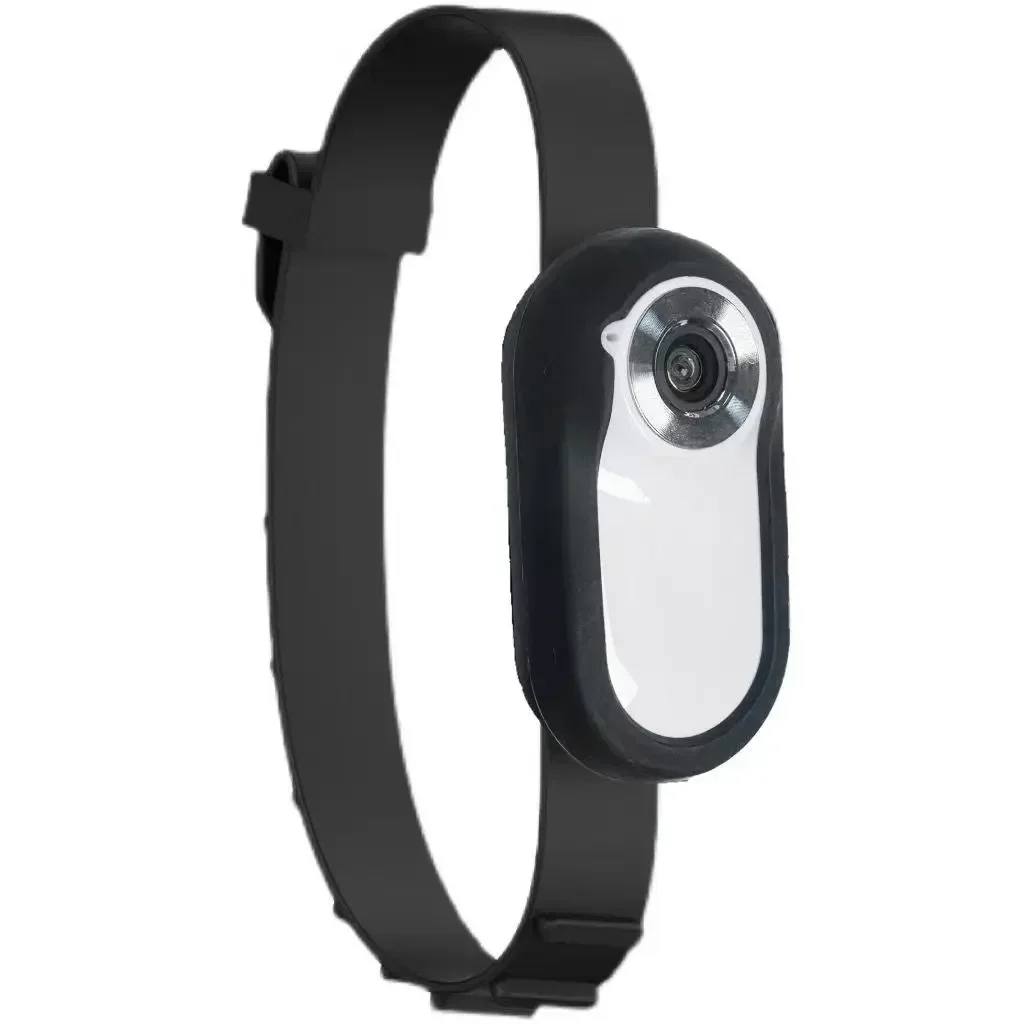 a-pet-collar-camera-no-wifi-required-hd-mini-sports-camera-cat-camera-choker-dog