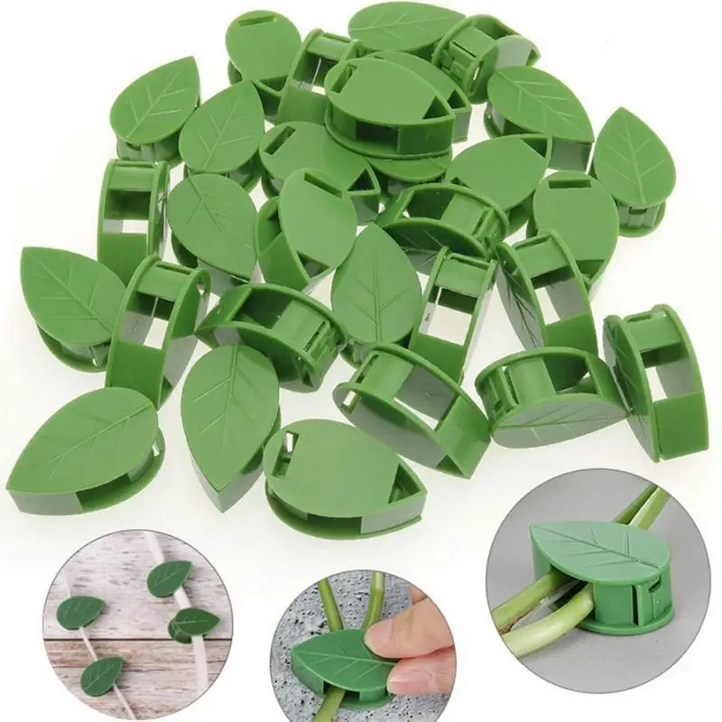 

100Pcs Climbing Plant Vine Stand Portable Cute Vine Stand Invisible Climbing Plant Wall Clip Used for Home Planting Products