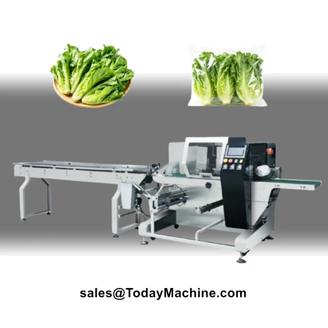 Automatic Horizontal Wrapping Flow Packaging Machine for Fresh Fruit and Vegetable