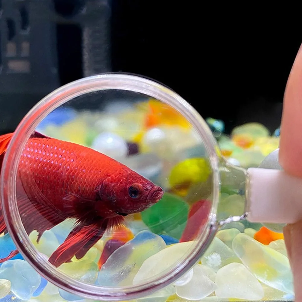 3 adet Akrilik Akvaryum Büyüteç Mini Taşınabilir Balık Tankı Görüntüleyici Vantuz ile Hayvan Gözlem Cam