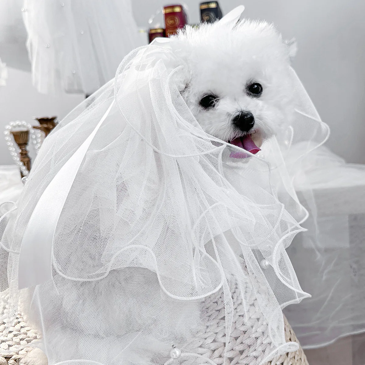 Thumbnail 4 - #34 Best Rated Puppy Bandanas to Buy in 2026