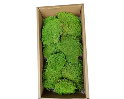 Artificial Green Plants Moss Grass Eternal Life Fake Grass Landscape Mini Crafts for Garden Home Hotel Decoration Straw Mattress