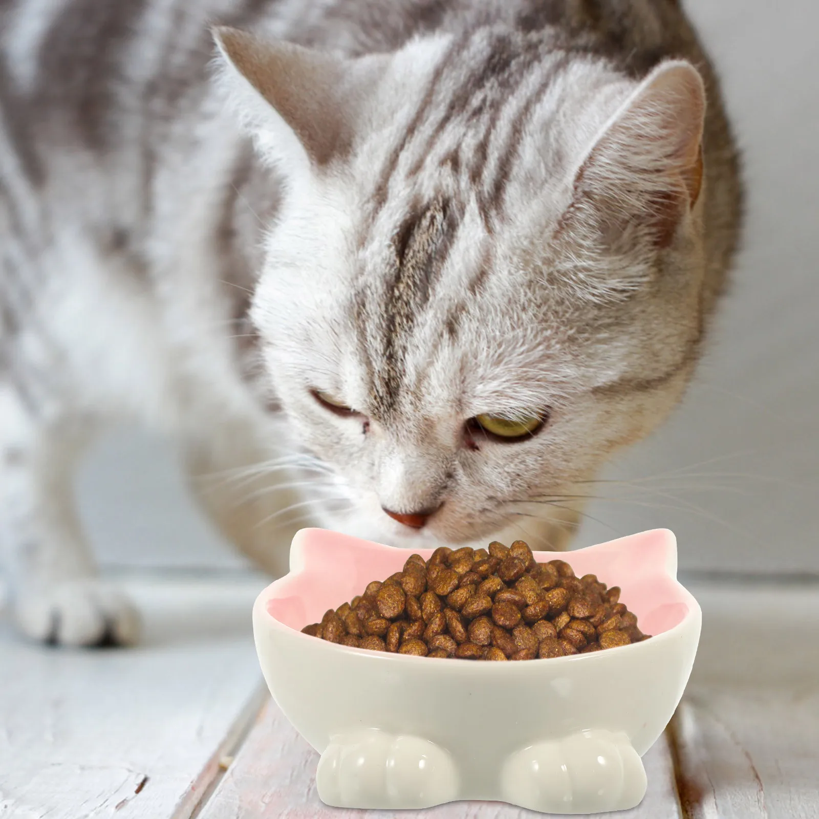 

Ceramic Cat Bowl with Unique Shape Bite Resistant Smooth Surface Easy Clean Pet Feeding Bowl for Food Water Neck Protection