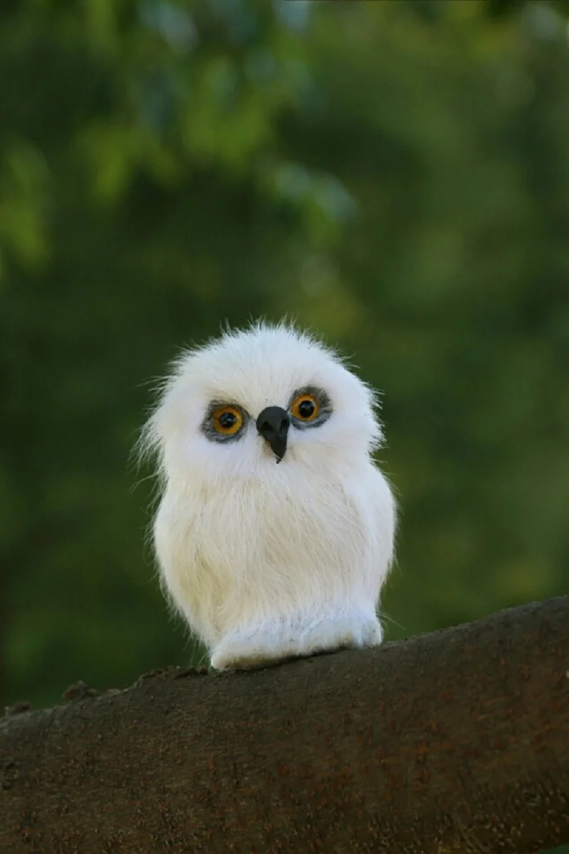 

small simulation owl toy polyethylene&fur white owl doll gift about 7x5x5cm 1173