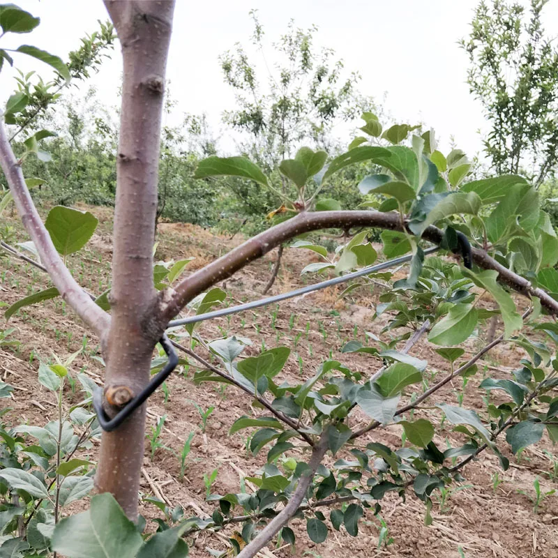 Fruit Tree Branches Holder Plant Support Fruit Branch Spreader Tree Branch Support Frame For Yard Fruit Tree Branches Fixe