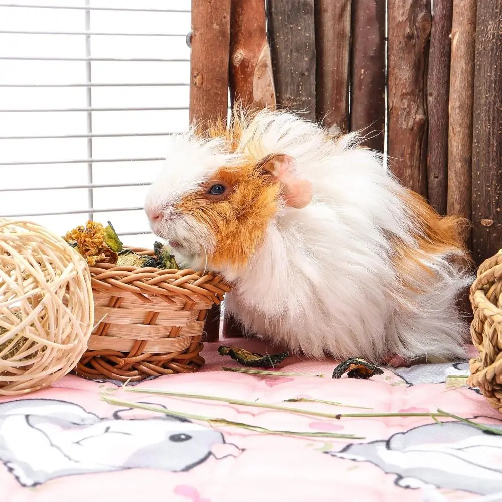 Tapis de Cage de cochon d'inde lavable, réutilisable, Super absorbant, pour Hamster, pipi, imperméable, antidérapant, pour cochons d'inde, petits animaux