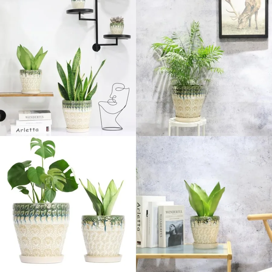 

Ceramic Planter Pots for Indoor Plants, 8Inch + 6 Inch Plant Pot with Drainage Holes, Saucers and Mesh Pads, Succulent Orchid F