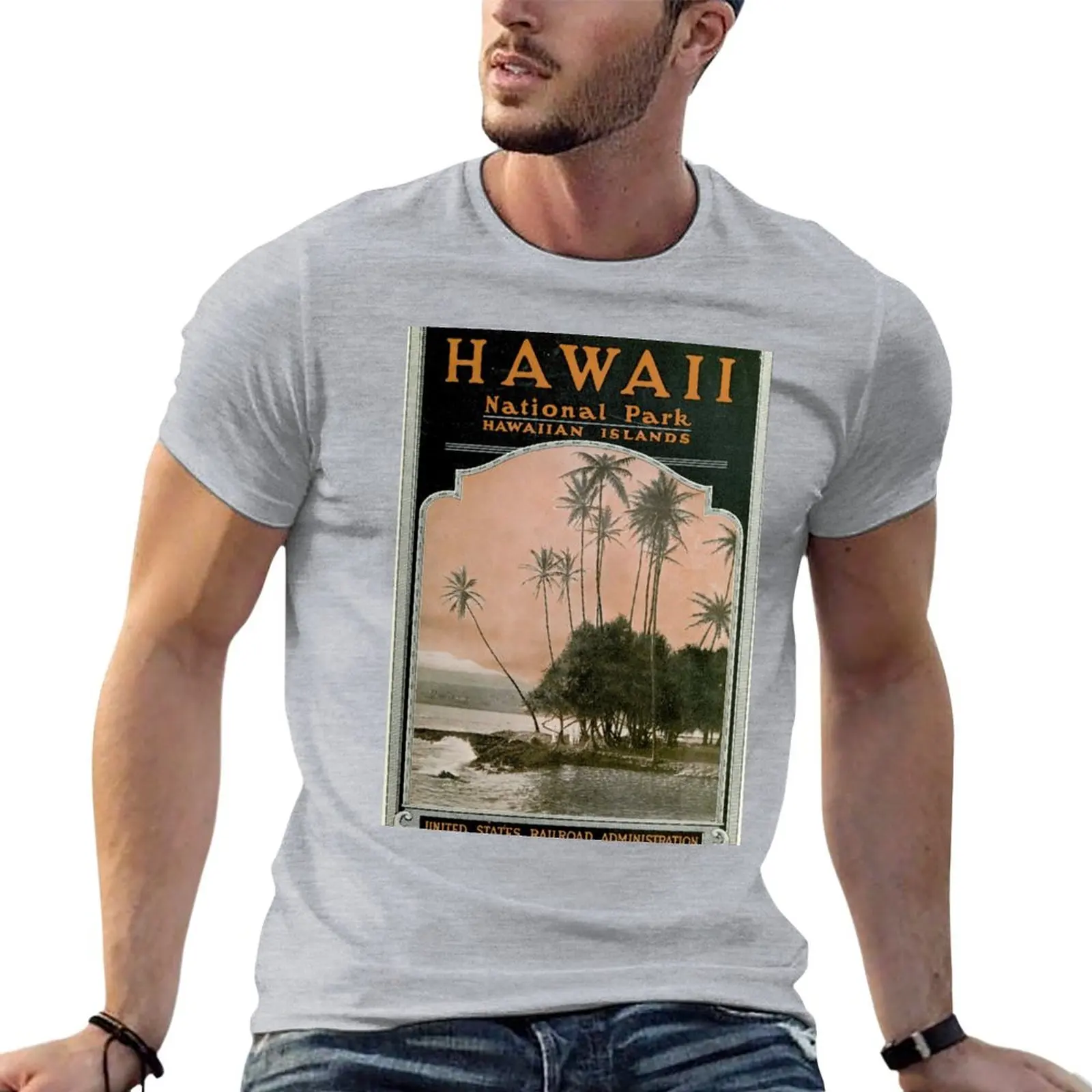 Vintage Hawaii National Park Poster (1919) T-Shirt custom t shirts summer clothes vintage t shirt heavyweight t shirts for men