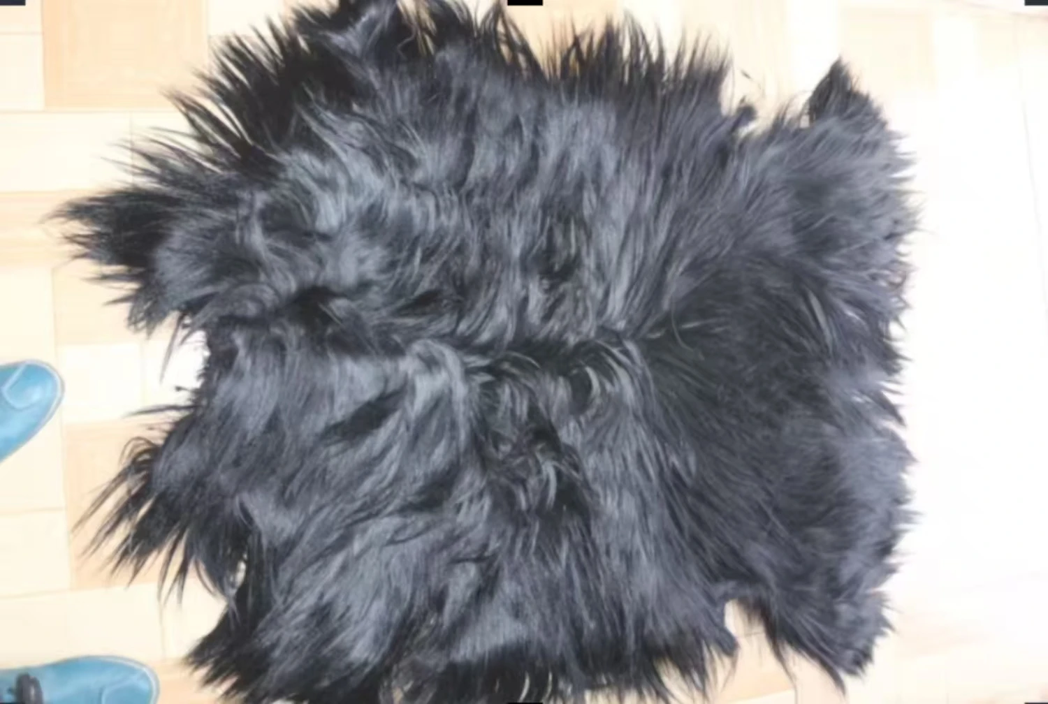 Wholesale Golden hair sheep lamb goat real fur skin