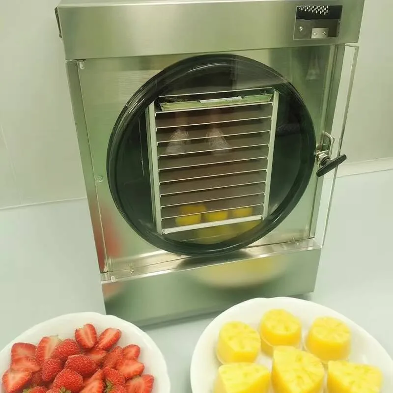 Household Freeze Dryer Machine Small 6Kg 10Kg 15Kg 25Kg 30Kg Drying Solution For Home Use