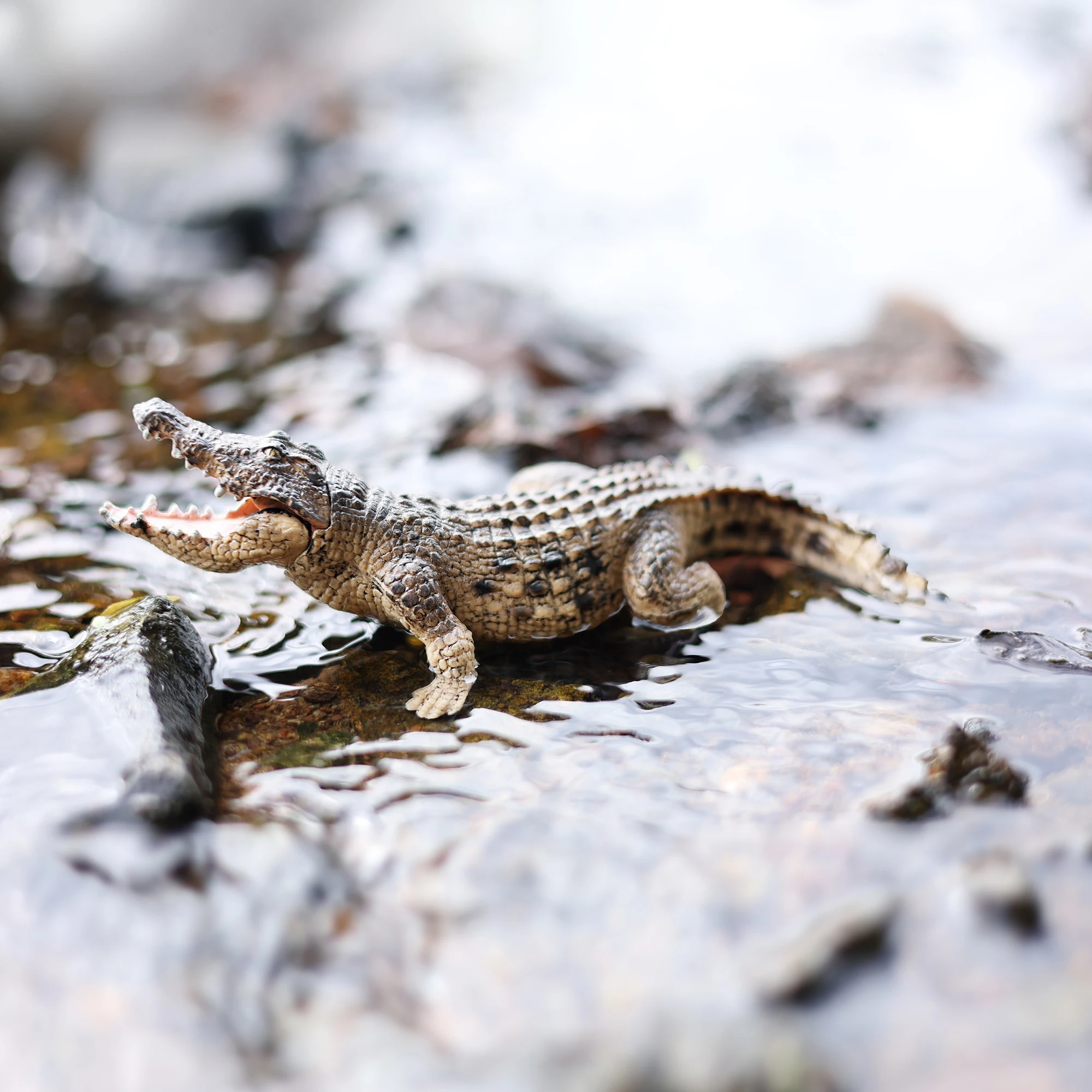 Realistic Wild Animals Toy Action Figure Collection - 3D Model Playset for Kids |Zoo Figurines Children's day gift