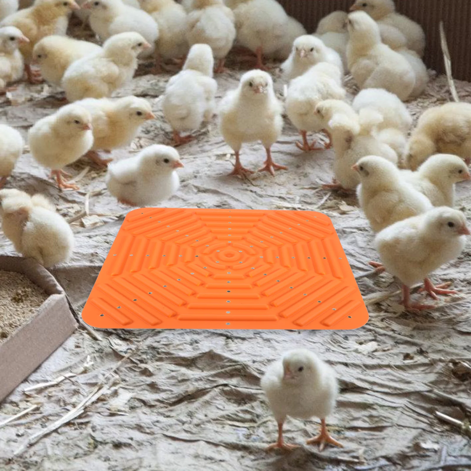 

Silicone Egg Pad 30 5x30 5CM Reusable Washable Nesting Box Pads Chicken Coop Accessories Safe Durable Easy Clean
