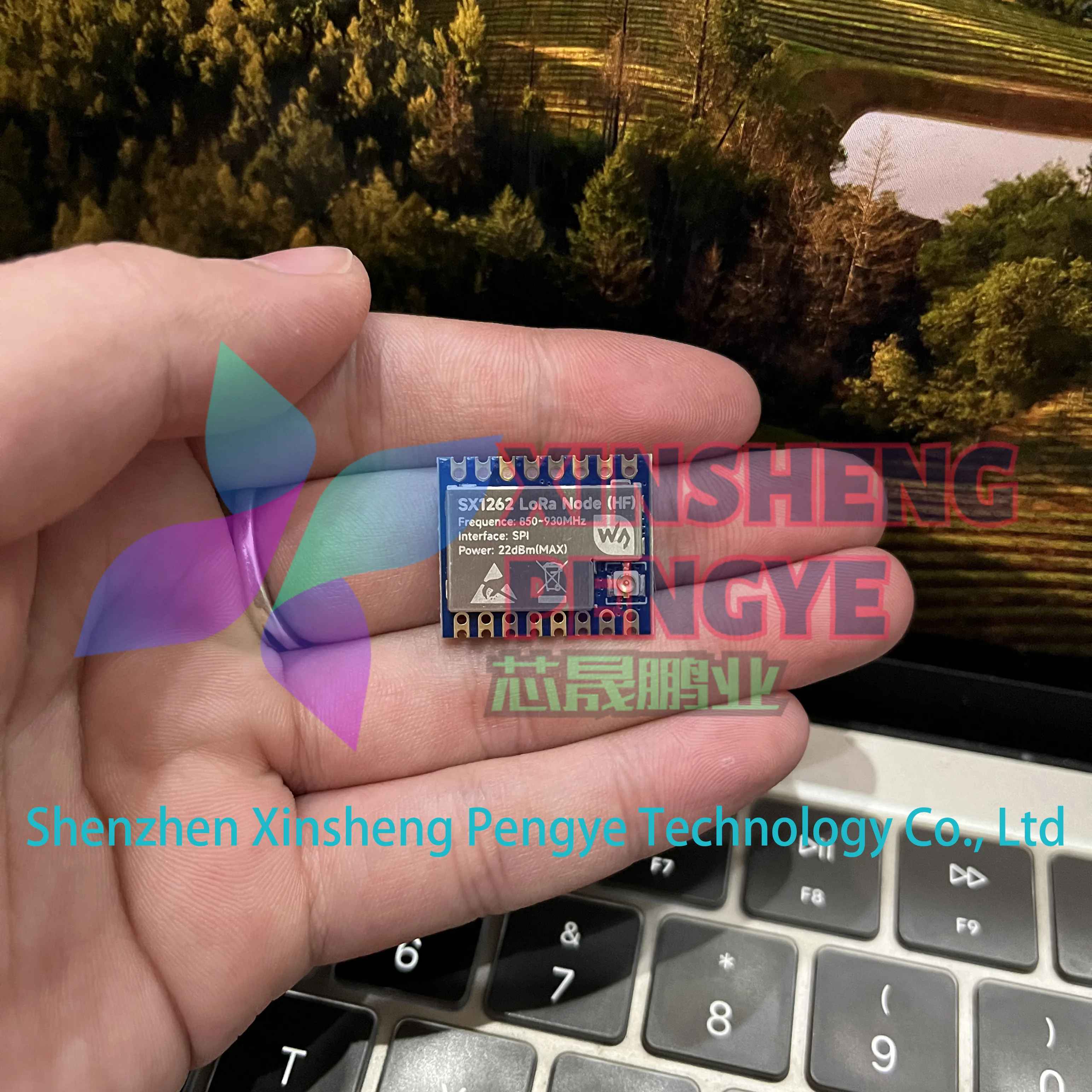 thumb