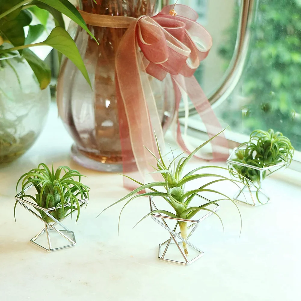 ABKO-Pack 5 Air Plant Holder Air Plants Holders Tillandsias Display Air Purifying Plant Container Air Fern Stand, Silver