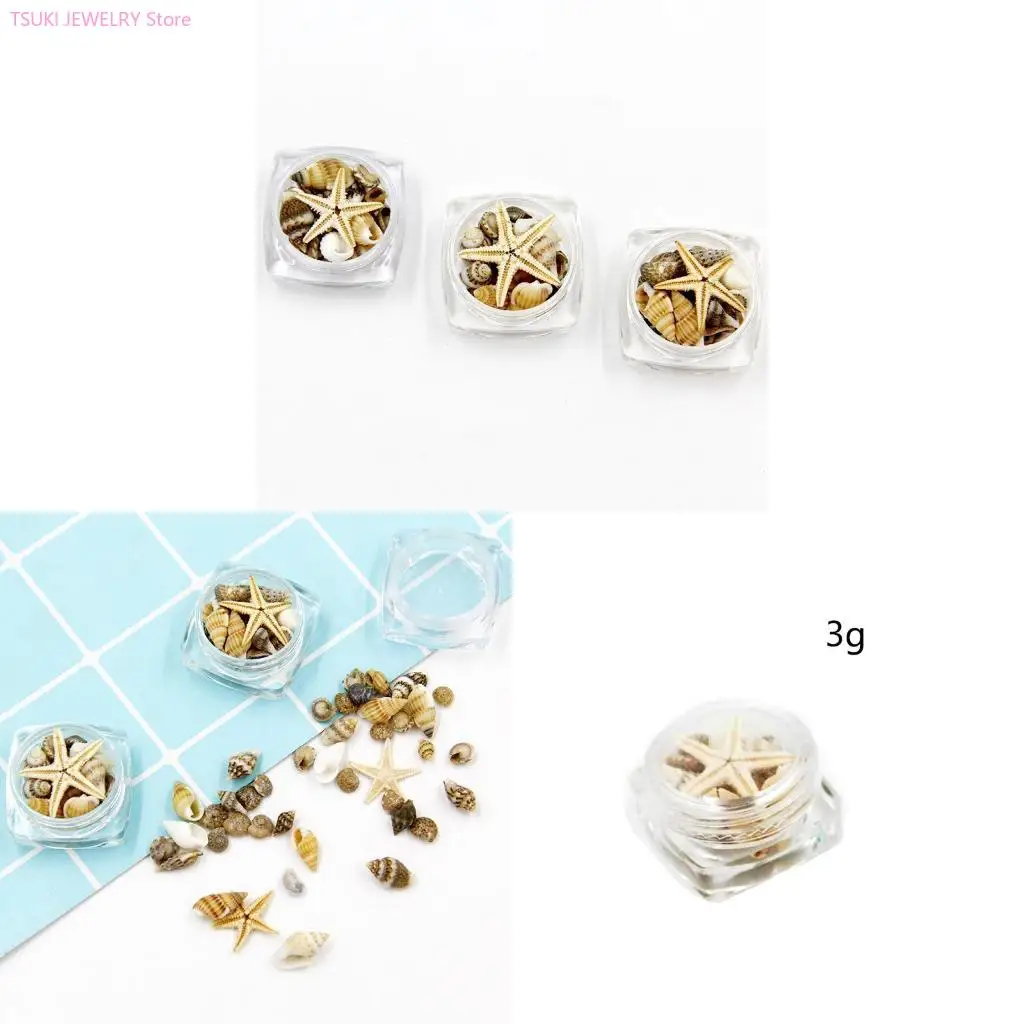 

62KE Natural Colorful Seashells Perfect for Vase Filler Beach Theme Party