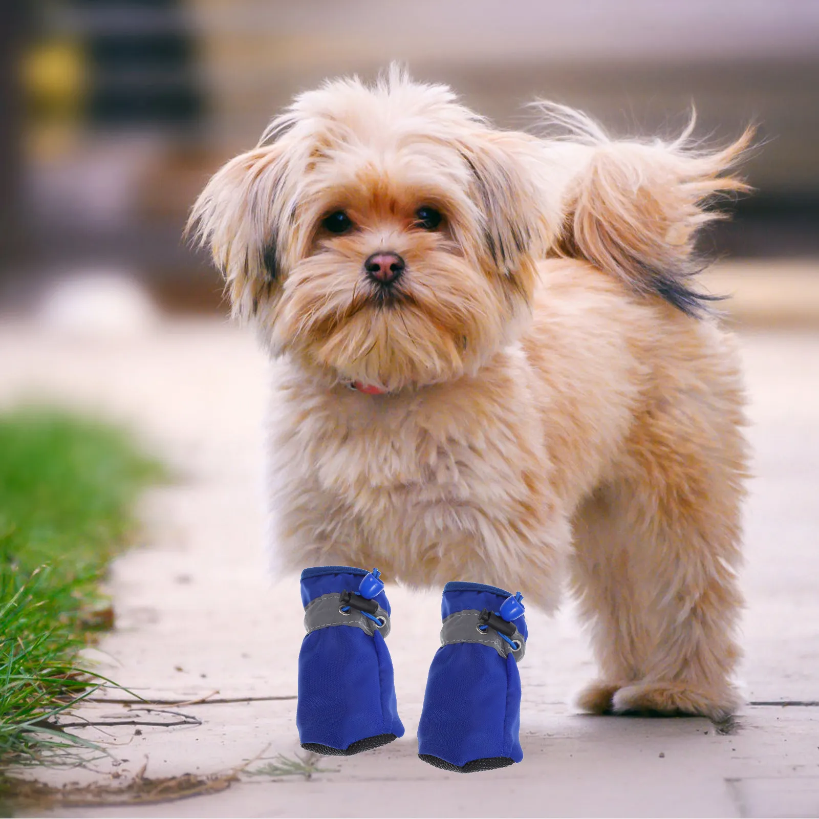 4Pcs Waterproof Dog…