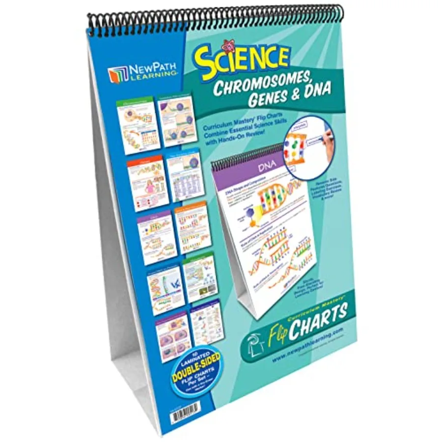 

Chromosomes, Genes and DNA Laminated, Double-Sided "Write-On/Wipe-Off" Flip Chart - Set of 10, 12" x 18" Charts 34-6727