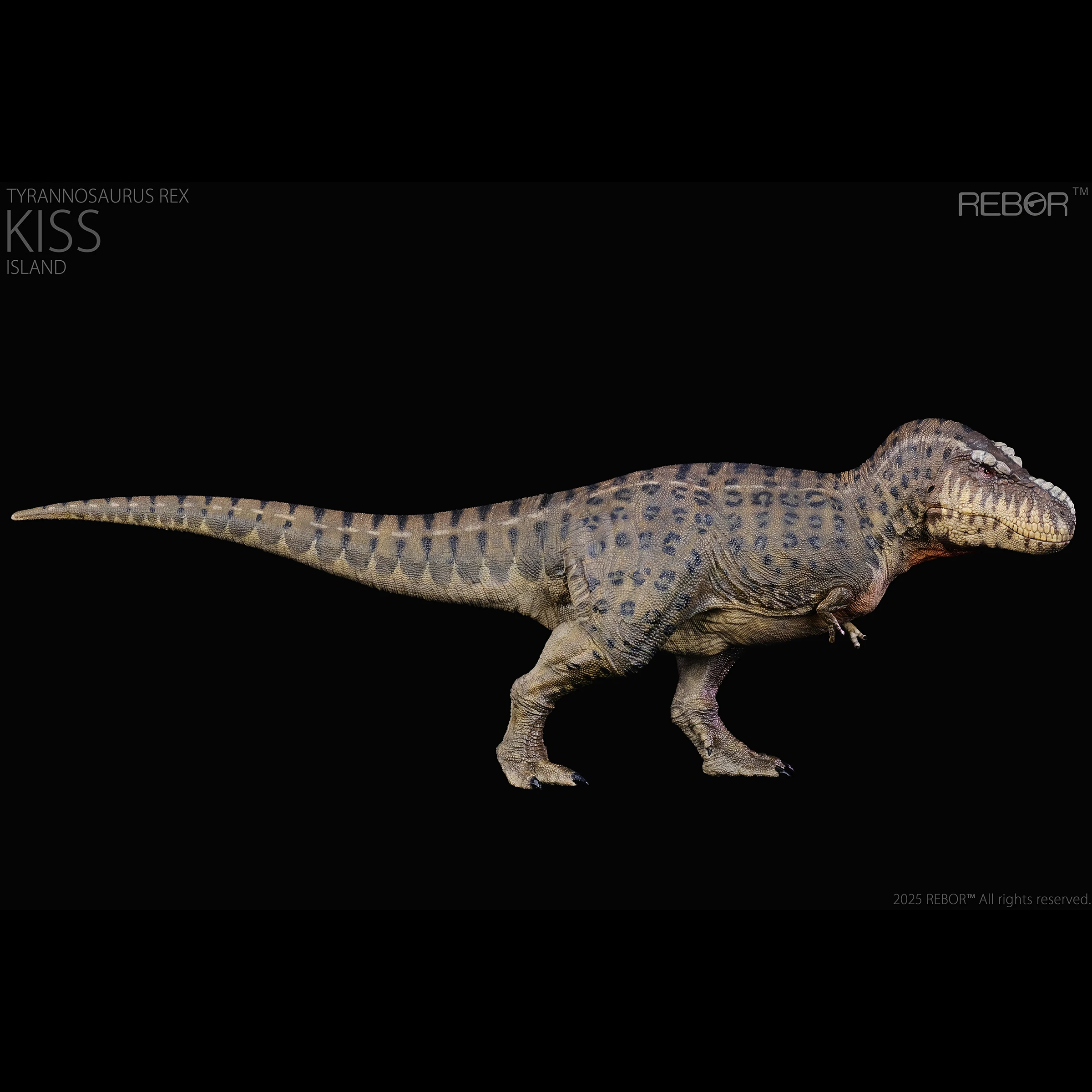 REBOR 1:35 Tyrannosaurus rex “KISS” Island Ver Collection Statue figures 【Pre sale Q1 2025】