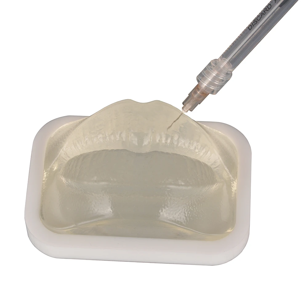 Transparent Lips Mouth for Filler Injection Practice Course Aesthetic Institute Training
