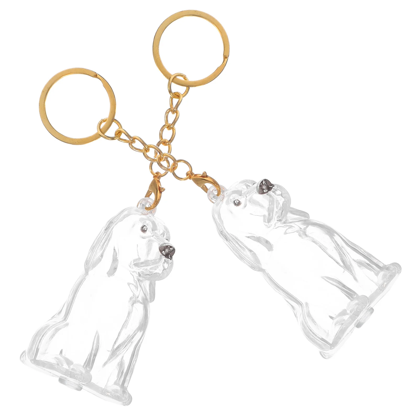 

2Pcs Dog Hair Keepsake Box Transparent Pet Hair Collector Keychain Portable Storage Memorial Charm Pet Remembrance Present