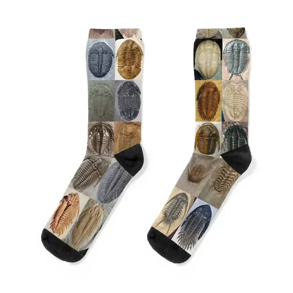 Trilobites Socks funny gift Non-slip Running hockey Socks For Man Women's