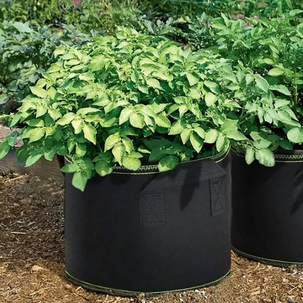 1/3/5/7/10 Gallon Felt Garden Planting Bag with Handles 1/3/5/7/10 Gallon Grow Bag Garden Tools Planting Nursery Pot Outdoor