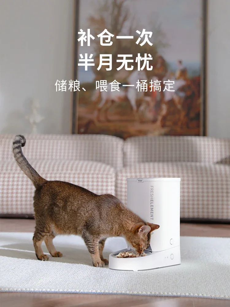 automatic feeder SOLO cat timing automatic feeding machine