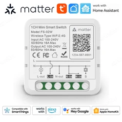 Matter WiFi Smart Switch 16A Smart Home Light Switch Relay Module Voice Control Work with Alexa Google Homekit Smartthings Tuya