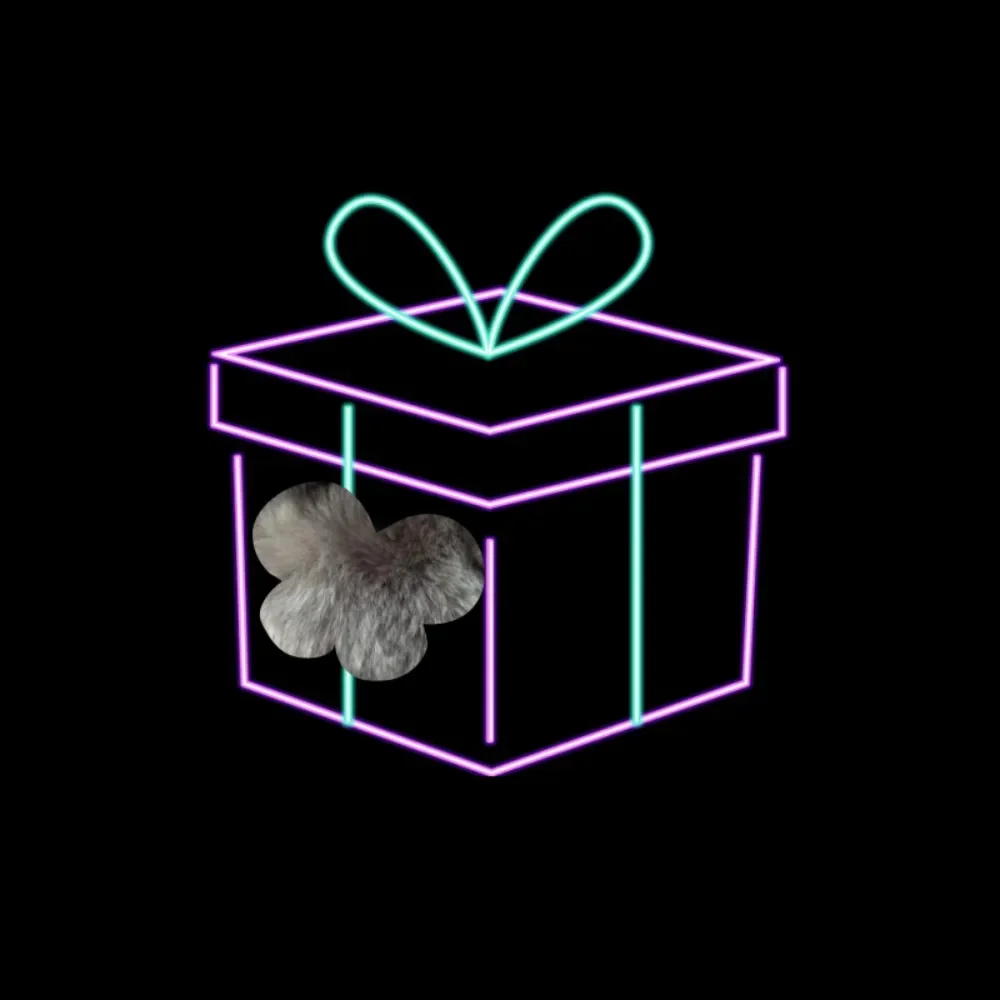 Boîte aveugle de dessin animé mignon, cadeau de décoration de noël, nouvelle boîte aveugle, porte-clés, breloque, jouet Surprise