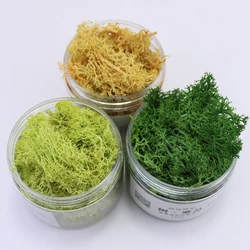 Simulation Shrubs Grass Cluster Model for Diy Sand Table Building Military Landscape Layout Materials 150ML/Bottle