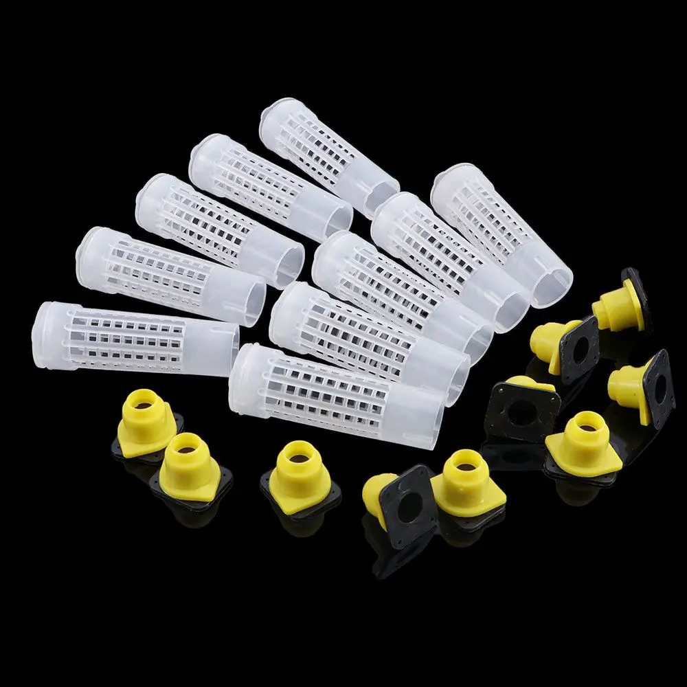 البلاستيك أداة تربية النحل حامل الصندوق الملك النحل الغطاء الواقي النحل تربية كأس النحل الملكة قفص