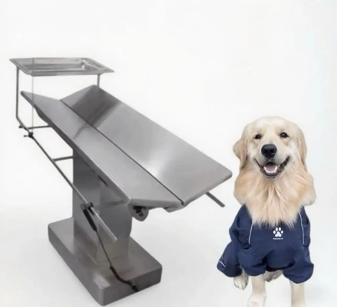 Pujia instrumentos veterinarios mesa de examen de mascotas eléctrica profesional de acero inoxidable mesa de examen quirúrgico veterinario