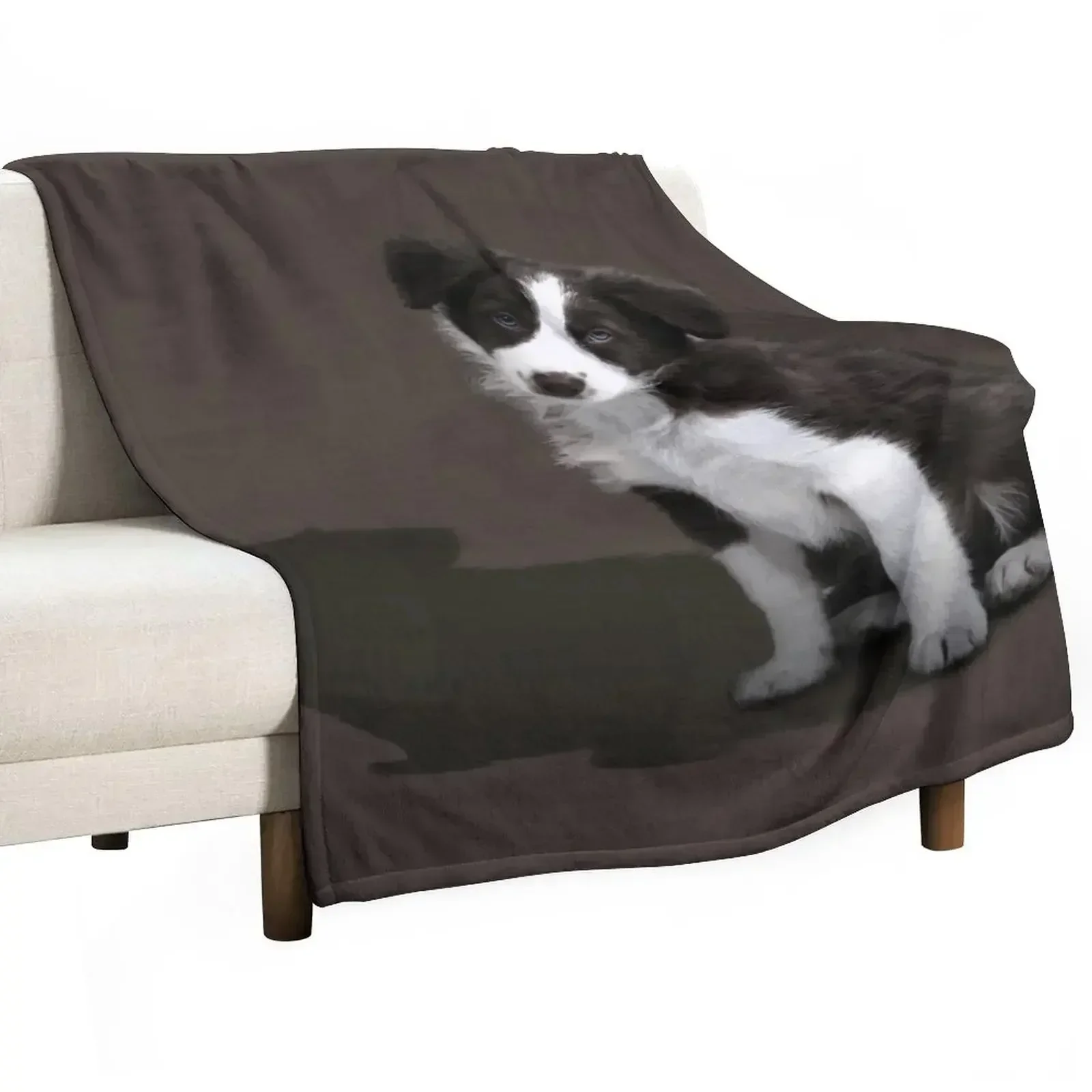 

New Border Collie Puppy Throw Blanket All Season Lightweight Soft Blanket for Bed