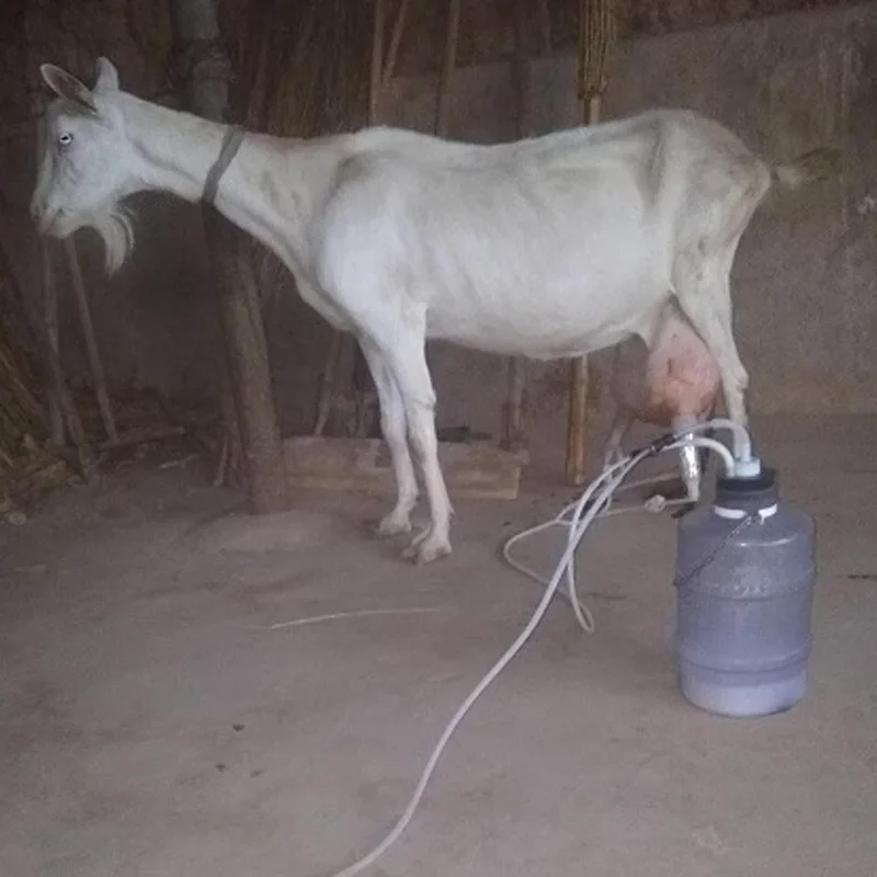 Electric Milking Machine for Cattle Goat Pulsating Milking Machine Stainless Steel Milker Bucket Farm Livestock Tools.