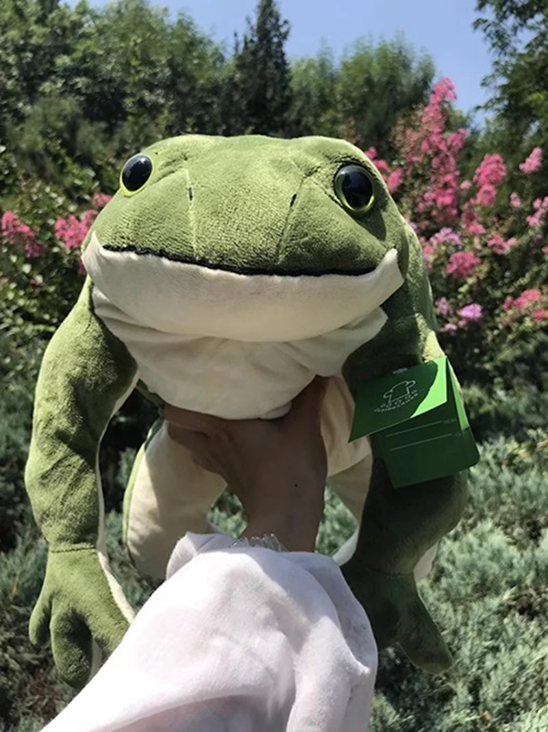 Bonito presente de aniversário menina sapo verde brinquedo de pelúcia grande macio dormir travesseiro sapo boneca decoração 22.8 polegada 58cm dy10295