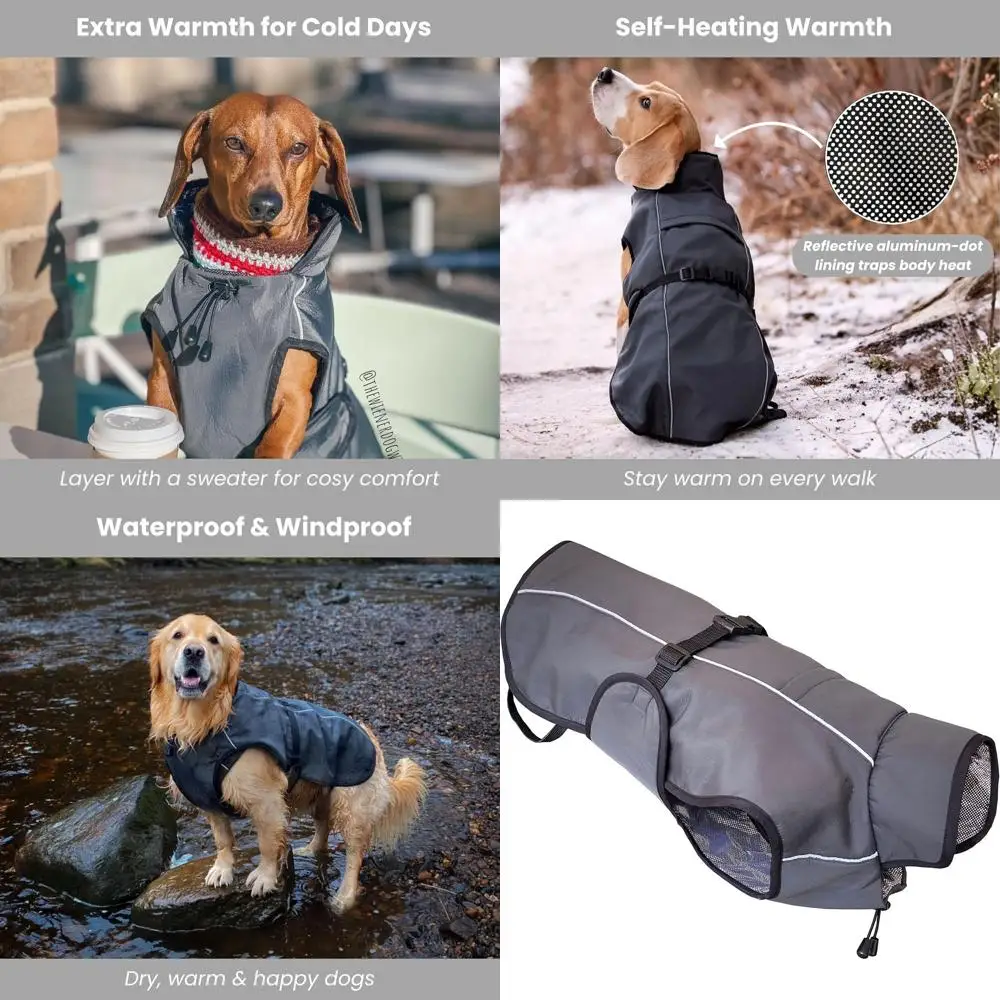 

Термоизолирующая водонепроницаемая куртка для собак (от маленьких до крупных пород) - легкая, легко надевается/снимается, безворсовая подкладка (XL)