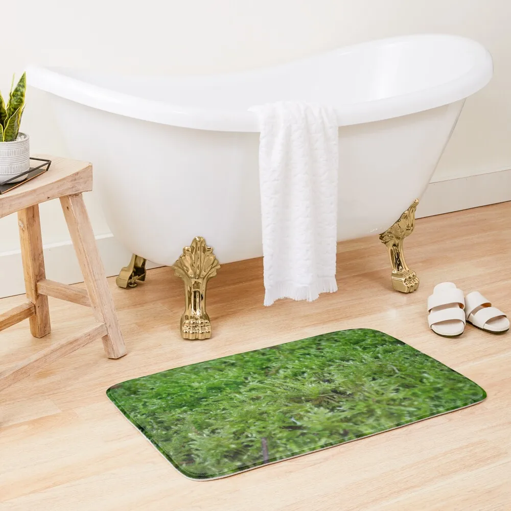 

Moss Bath Mat Bathroom And Toilet Mat Set