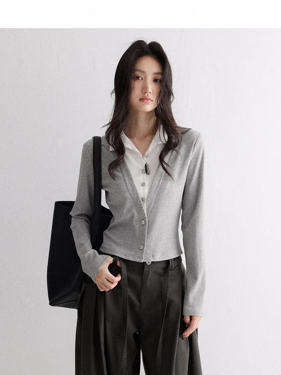 

CHACHASTU Subtle Ele Commute Silver: Винтажная женская рубашка с длинным рукавом и воротником, имитация двухслойности, осенняя коллекция