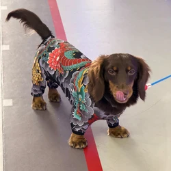 Traje ligero repelente de insectos para perro teckel, cubre vientre