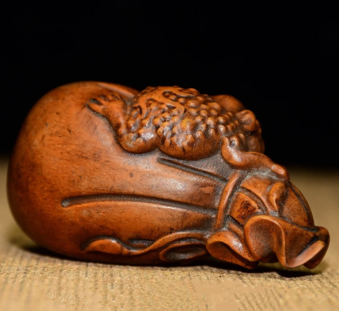 Japanese Collect Small Leaf Boxwood Golden Toad Handle