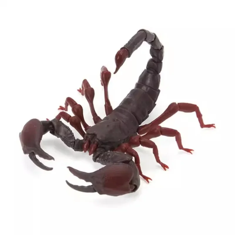 BANDAI Gashapon Biologia Ilustrowany przewodnik Skorpion Aktywny staw Prezenty na Dzień Dziecka Zbieraj ozdoby Kawaii Figurka Model Zabawki