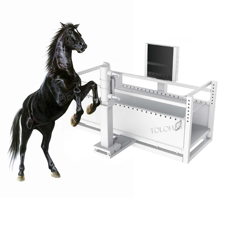 LHWRV80B Veterinaire Digitale Radiologische Beeldvormingssysteem Boerderij Paard Koe Vee Röntgen DR Machine voor Grote Dieren